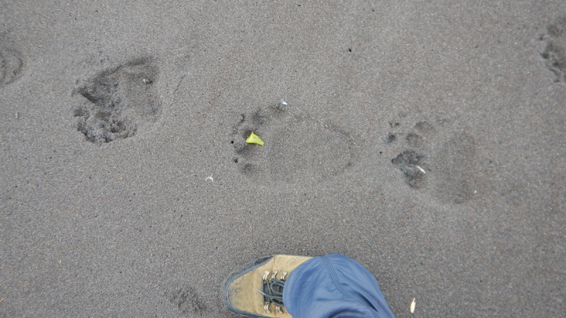 Камчатка. Сентябрь 2018. Переходный возраст планеты