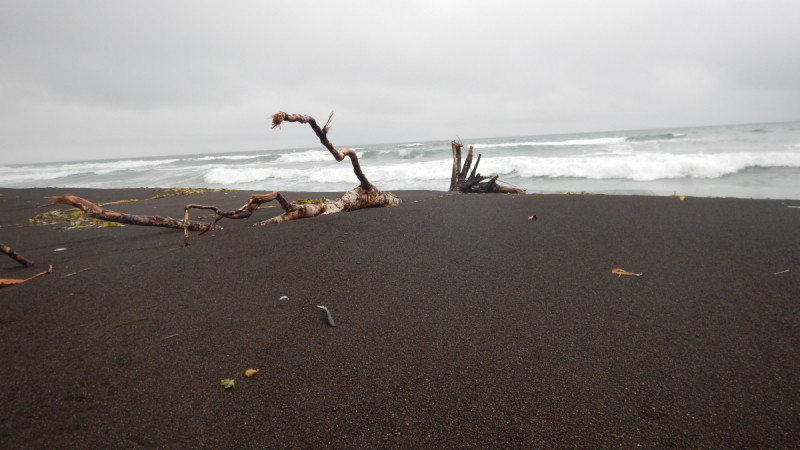 Камчатка. Сентябрь 2018. Переходный возраст планеты