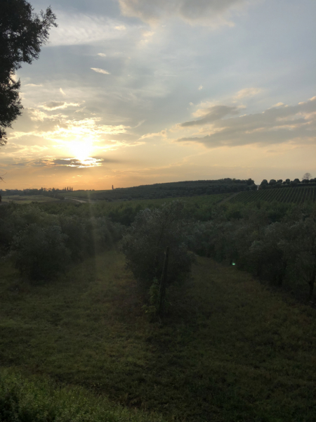 Семь тосканских вечеров