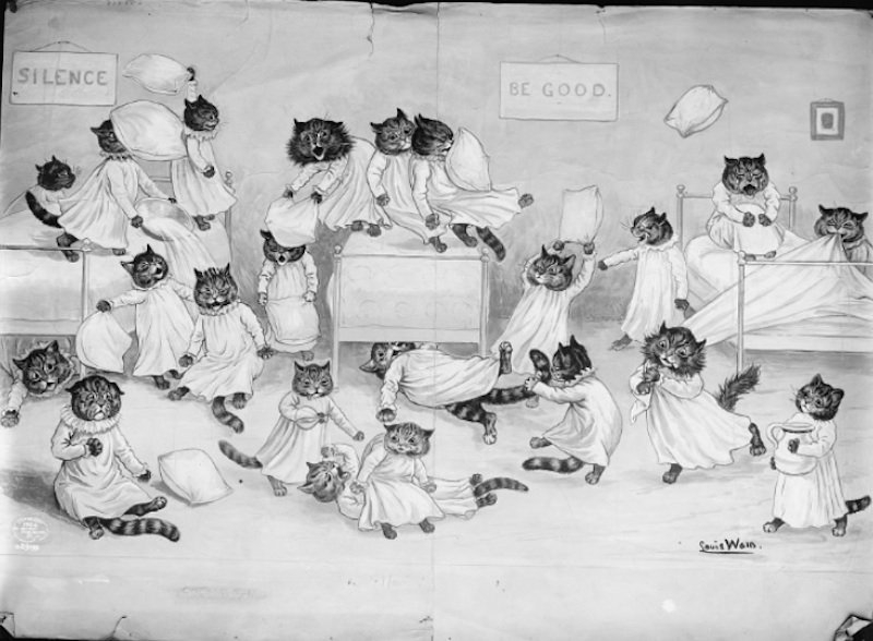 Кошки в нашей жизни. Кошки и все, что с ними связано.