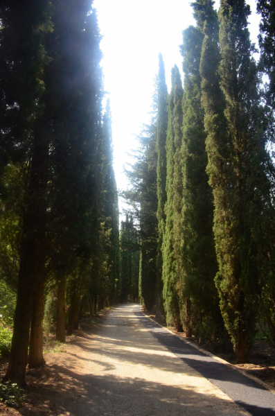 Грузия. Сложилось! Июль 2018. Тбилиси-Степанцминда-Вардзия-Боржоми-Батуми