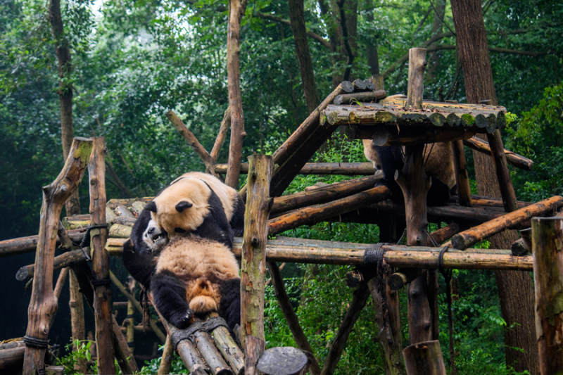 С севера на юг в сентябре (Beijing – Datong - Pingyao - Xi'an – Chengdu – Xingping – Yangshuo – Dazhai – Fenghuang – Zhangjiajie – Hong Kong)