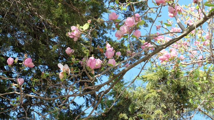 Мой Апрельский Крым