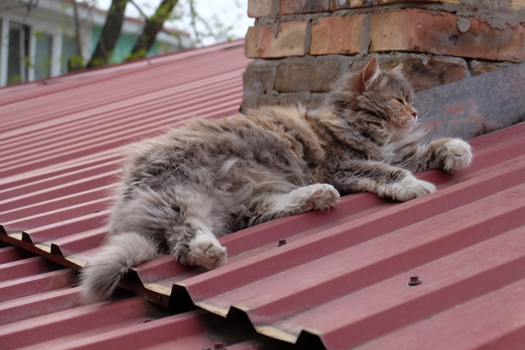 Мой Апрельский Крым