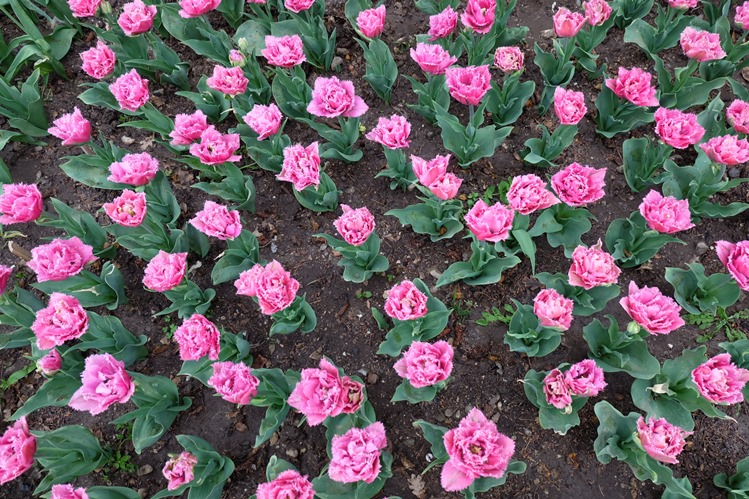 Мой Апрельский Крым