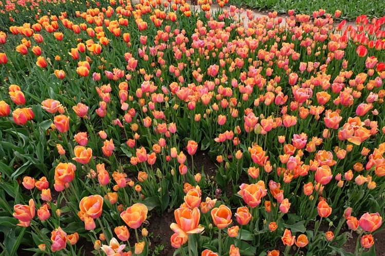 Мой Апрельский Крым