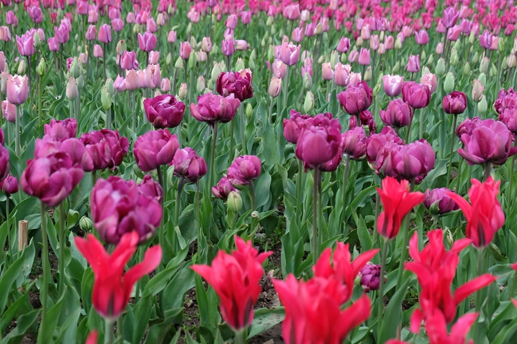 Мой Апрельский Крым