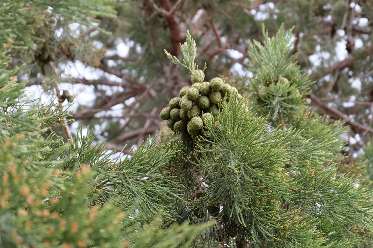 Мой Апрельский Крым