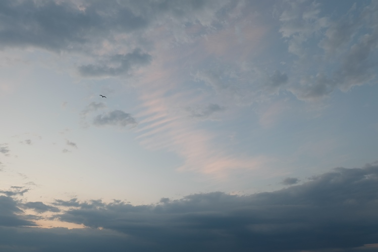 Мой Апрельский Крым