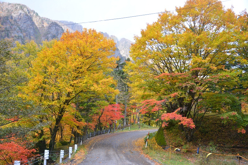 Хоккайдо + Тохоку в октябре