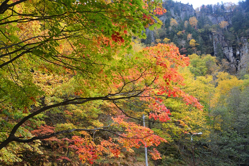 Хоккайдо + Тохоку в октябре