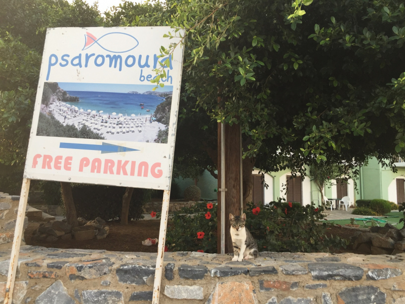 Крит. Агия-Пелагия на 4 дня + Ираклион