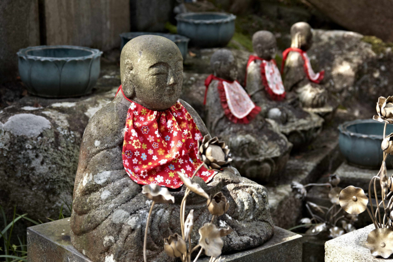 Япония, 7 дней, Окт-Ноя 2018 г.