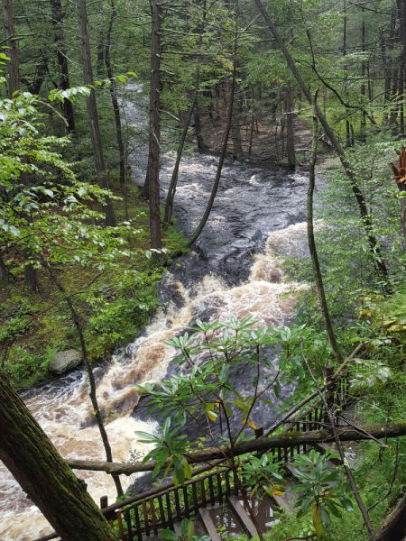 Пенсильвания провинциальная: Амиши, Bushkill Falls, Upper Delaware Scenic Byway, Ricketts Glen SP, Penn’s Cave. Октябрь 2018.