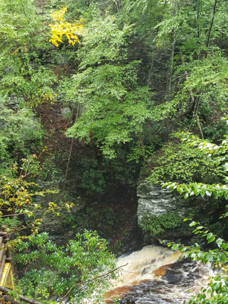 Пенсильвания провинциальная: Амиши, Bushkill Falls, Upper Delaware Scenic Byway, Ricketts Glen SP, Penn’s Cave. Октябрь 2018.