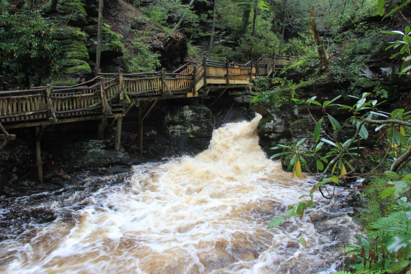 Пенсильвания провинциальная: Амиши, Bushkill Falls, Upper Delaware Scenic Byway, Ricketts Glen SP, Penn’s Cave. Октябрь 2018.