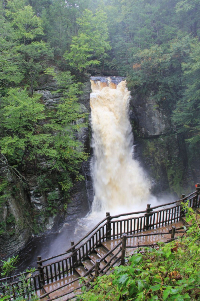 Пенсильвания провинциальная: Амиши, Bushkill Falls, Upper Delaware Scenic Byway, Ricketts Glen SP, Penn’s Cave. Октябрь 2018.