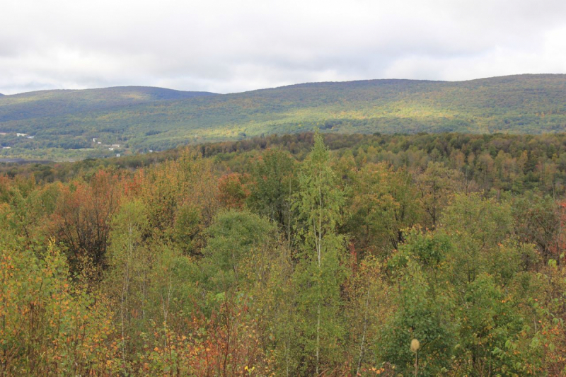 Пенсильвания провинциальная: Амиши, Bushkill Falls, Upper Delaware Scenic Byway, Ricketts Glen SP, Penn’s Cave. Октябрь 2018.