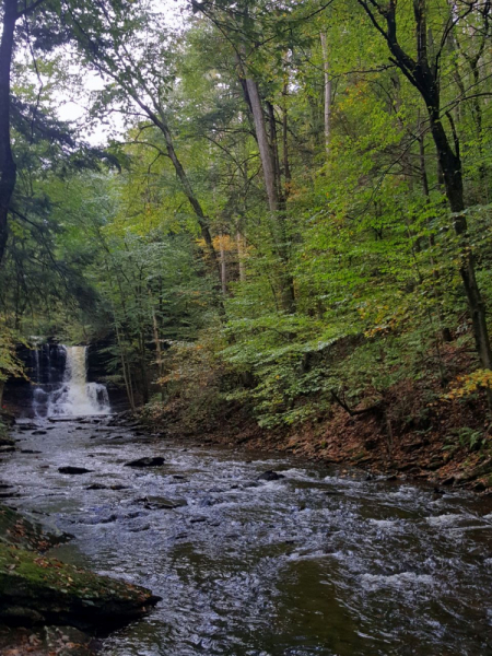 Пенсильвания провинциальная: Амиши, Bushkill Falls, Upper Delaware Scenic Byway, Ricketts Glen SP, Penn’s Cave. Октябрь 2018.