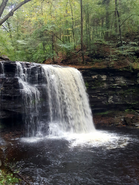 Пенсильвания провинциальная: Амиши, Bushkill Falls, Upper Delaware Scenic Byway, Ricketts Glen SP, Penn’s Cave. Октябрь 2018.