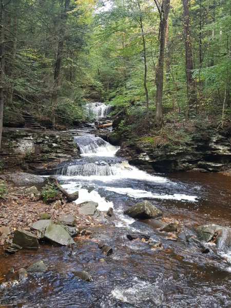 Пенсильвания провинциальная: Амиши, Bushkill Falls, Upper Delaware Scenic Byway, Ricketts Glen SP, Penn’s Cave. Октябрь 2018.