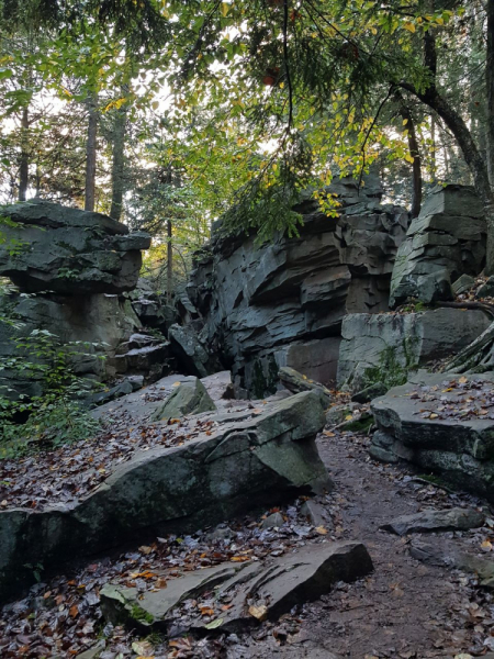 Пенсильвания провинциальная: Амиши, Bushkill Falls, Upper Delaware Scenic Byway, Ricketts Glen SP, Penn’s Cave. Октябрь 2018.