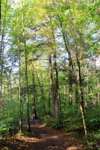 Пенсильвания провинциальная: Амиши, Bushkill Falls, Upper Delaware Scenic Byway, Ricketts Glen SP, Penn’s Cave. Октябрь 2018.