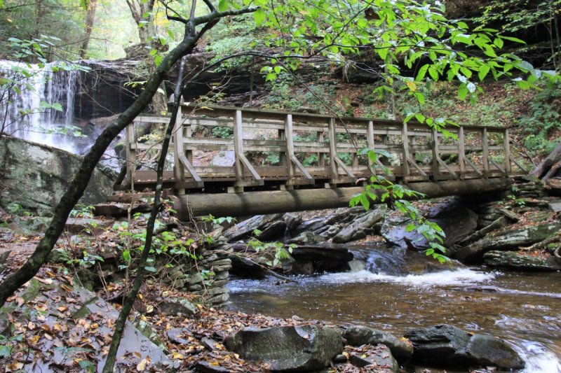 Пенсильвания провинциальная: Амиши, Bushkill Falls, Upper Delaware Scenic Byway, Ricketts Glen SP, Penn’s Cave. Октябрь 2018.