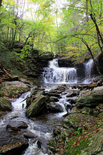 Пенсильвания провинциальная: Амиши, Bushkill Falls, Upper Delaware Scenic Byway, Ricketts Glen SP, Penn’s Cave. Октябрь 2018.