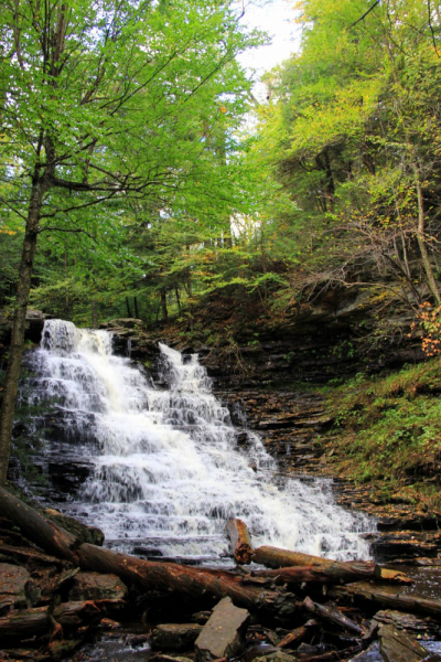 Пенсильвания провинциальная: Амиши, Bushkill Falls, Upper Delaware Scenic Byway, Ricketts Glen SP, Penn’s Cave. Октябрь 2018.