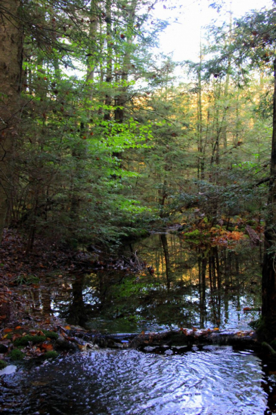 Пенсильвания провинциальная: Амиши, Bushkill Falls, Upper Delaware Scenic Byway, Ricketts Glen SP, Penn’s Cave. Октябрь 2018.