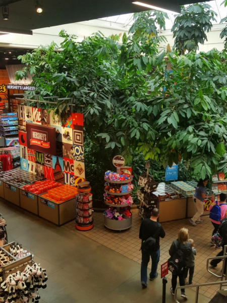 Пенсильвания провинциальная: Амиши, Bushkill Falls, Upper Delaware Scenic Byway, Ricketts Glen SP, Penn’s Cave. Октябрь 2018.