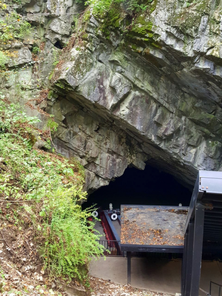 Пенсильвания провинциальная: Амиши, Bushkill Falls, Upper Delaware Scenic Byway, Ricketts Glen SP, Penn’s Cave. Октябрь 2018.