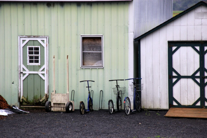 Пенсильвания провинциальная: Амиши, Bushkill Falls, Upper Delaware Scenic Byway, Ricketts Glen SP, Penn’s Cave. Октябрь 2018.