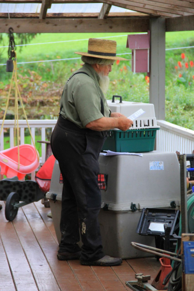 Пенсильвания провинциальная: Амиши, Bushkill Falls, Upper Delaware Scenic Byway, Ricketts Glen SP, Penn’s Cave. Октябрь 2018.