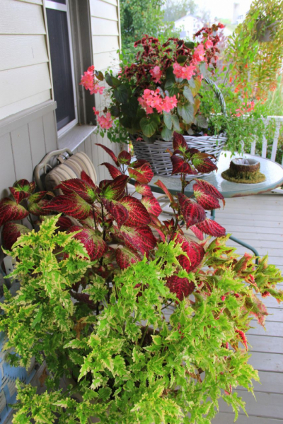 Пенсильвания провинциальная: Амиши, Bushkill Falls, Upper Delaware Scenic Byway, Ricketts Glen SP, Penn’s Cave. Октябрь 2018.