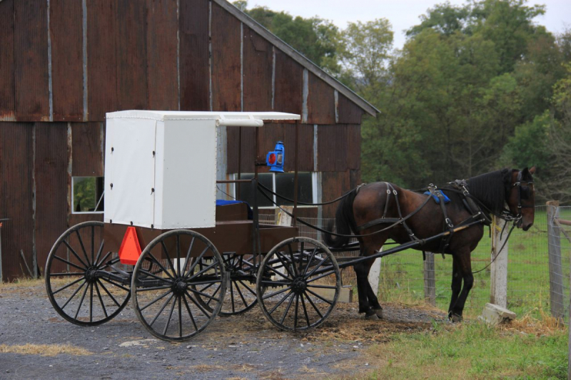 Пенсильвания провинциальная: Амиши, Bushkill Falls, Upper Delaware Scenic Byway, Ricketts Glen SP, Penn’s Cave. Октябрь 2018.