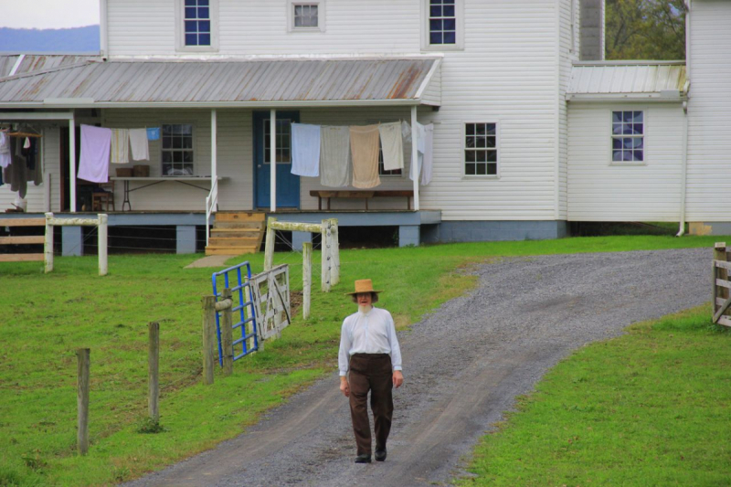 Пенсильвания провинциальная: Амиши, Bushkill Falls, Upper Delaware Scenic Byway, Ricketts Glen SP, Penn’s Cave. Октябрь 2018.