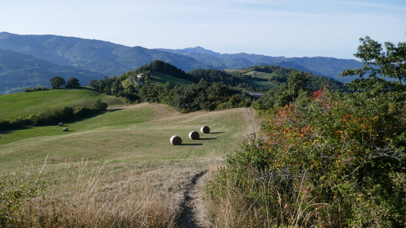 Via Francigena from Fornovo di Taro to Siena