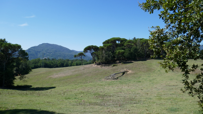 Via Francigena from Fornovo di Taro to Siena