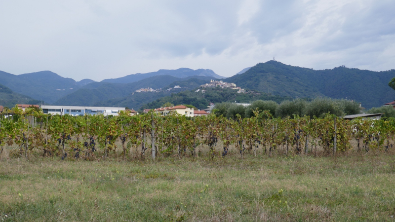 Via Francigena from Fornovo di Taro to Siena