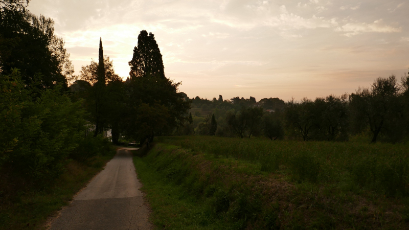 Via Francigena from Fornovo di Taro to Siena