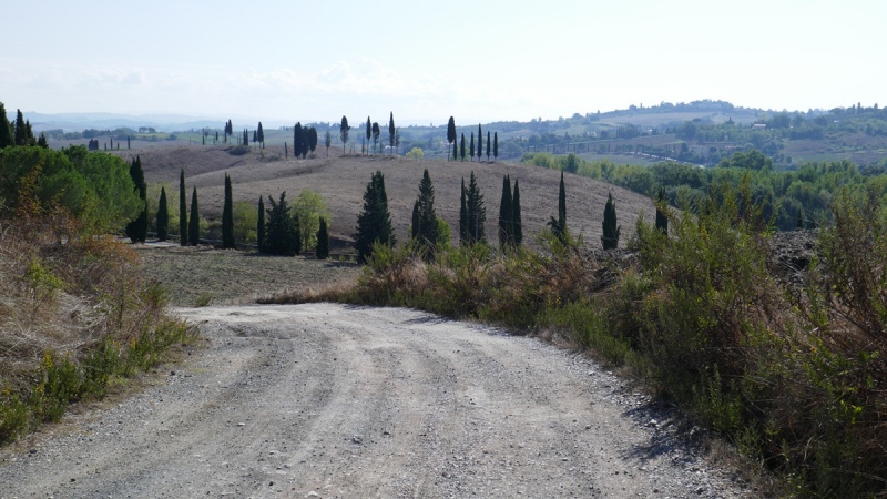 Via Francigena from Fornovo di Taro to Siena