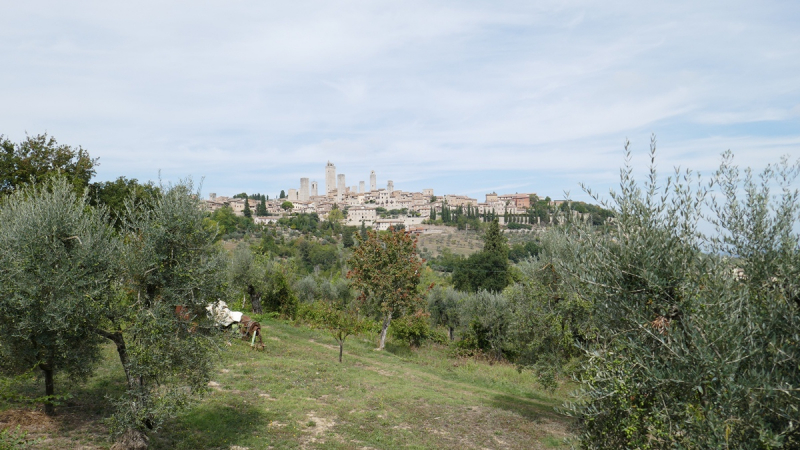 Via Francigena from Fornovo di Taro to Siena