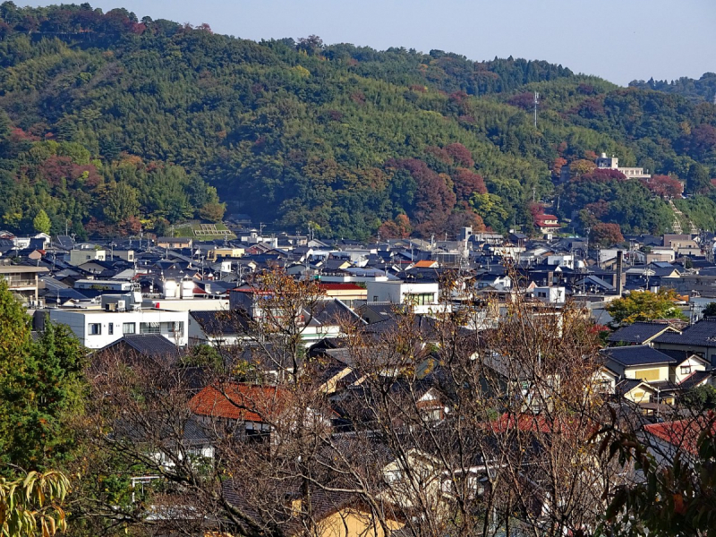 Багряные краски осени (Come back to Japan.)