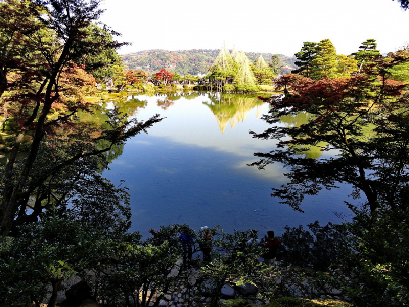 Багряные краски осени (Come back to Japan.)