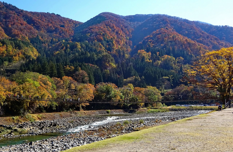 Багряные краски осени (Come back to Japan.)