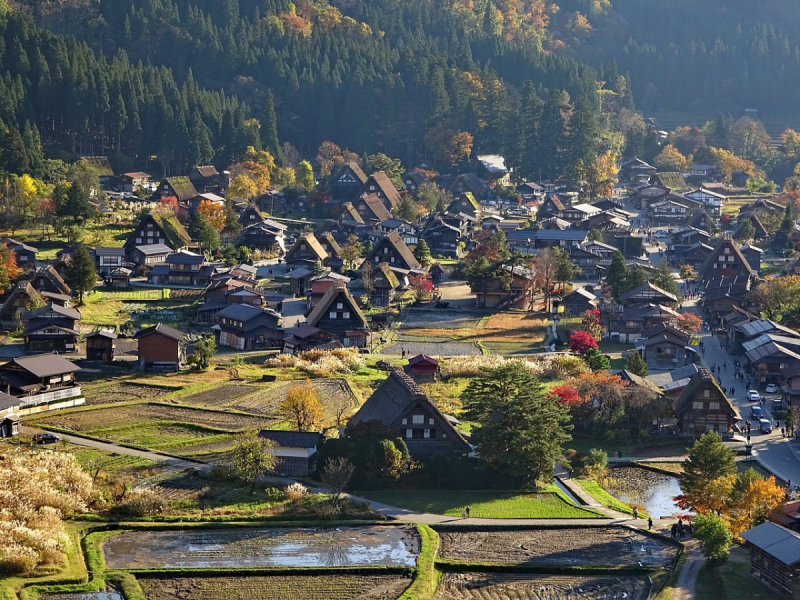 Багряные краски осени (Come back to Japan.)