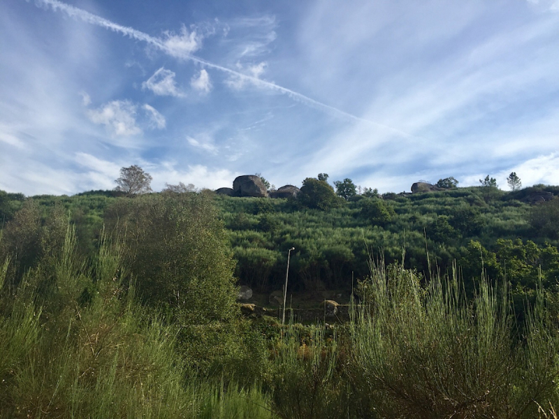 Круиз по Дору на Emerald Radiance и чуть-чуть северной Португалии, октябрь 2018