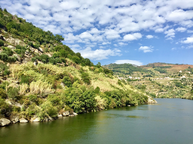 Круиз по Дору на Emerald Radiance и чуть-чуть северной Португалии, октябрь 2018